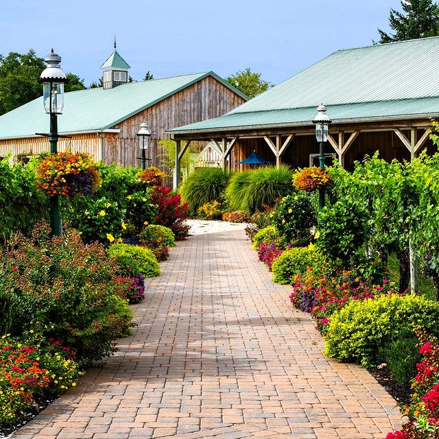 Things To Do Cape May Winery and Vineyard